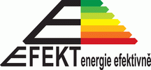 logo EFEKT